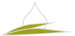 Zwischenlogo grün
