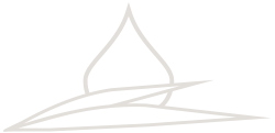 Zwischenlogo weiss